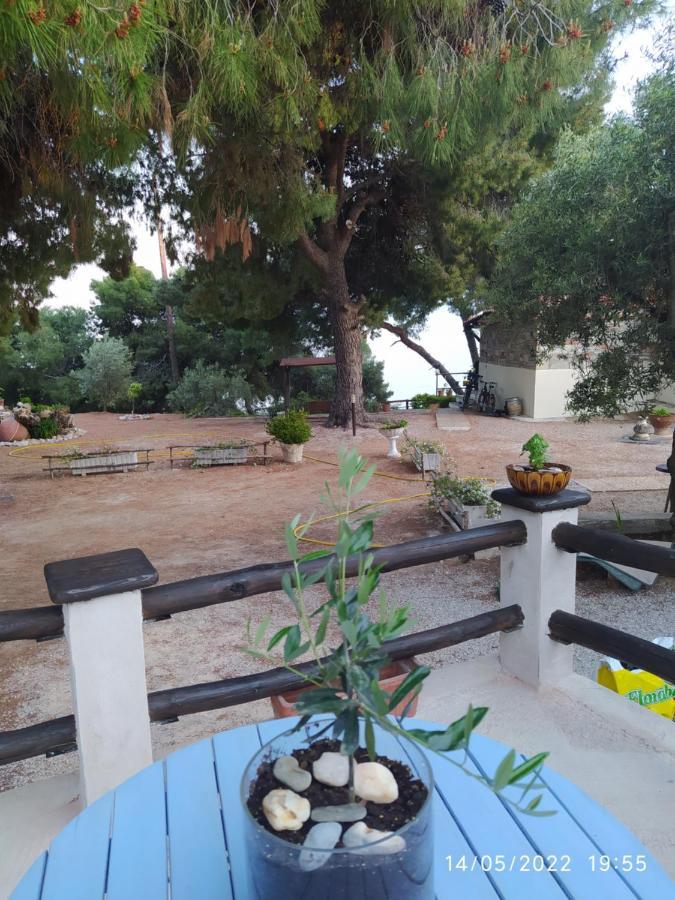 Pefkonas Apartments2 100 M From The Beach Psakoudia Exterior photo